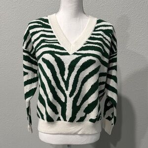 Beach Riot V-Neck Zebra Sweater in Green and Cream